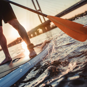 Photo from Abu Dhabi International Boat Show 2018 in Abu Dhabi: Gallery Photo mn1qj3