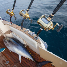 Photo from Abu Dhabi International Boat Show 2018 in Abu Dhabi: Gallery Photo wzwkbz