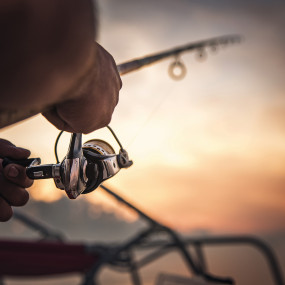 Photo from Abu Dhabi International Boat Show 2018 in Abu Dhabi: Gallery Photo gzm25n