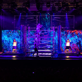 Photo from Dein Perry's Tap Dogs in Riyadh: Gallery Photo n28q4n