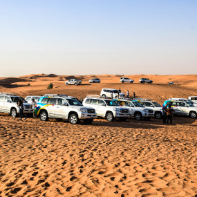 Photo from Deluxe Desert Safari with BBQ and Transfer in Dubai: Gallery Photo g3rwyn