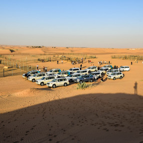 Photo from Deluxe Desert Safari with BBQ and Transfer in Dubai: Gallery Photo jzo44n
