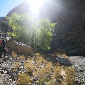 Photo from قمة جيس للمغامرة in رأس الخيمة: Gallery Photo zwm2b3