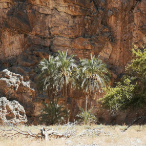 Photo from قمة جيس للمغامرة in رأس الخيمة: Gallery Photo 38eor3