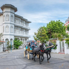 Photo from Full Day Princes Islands (Heybeliada & Büyükada) Tour in Istanbul: Gallery Photo zok6y3