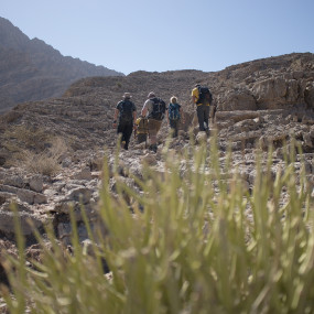 Photo from قمة جيس للمغامرة in رأس الخيمة: Gallery Photo n2w9jn