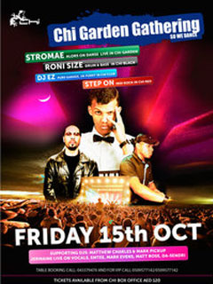 CHI GARDEN GATHERING ..STROMAE and RONI SIZE & DJ EZ