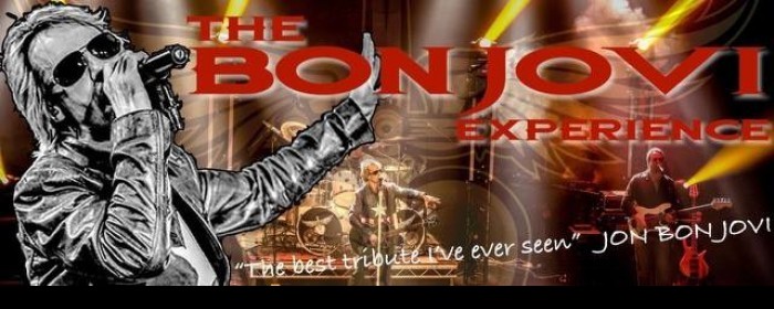 Journey / Europe / Bon Jovi/Asia LP4枚 Bon Jovi Experience