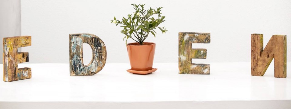 DAY VIBES - POOL PARTY! DAY VIBES - POOL PARTY!