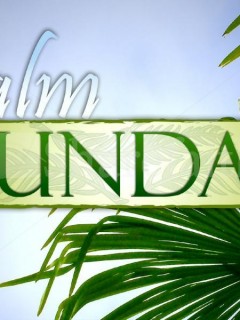 PALM BRUNCH @ Cedar Lounge-Friday 22nd- Aed 275 per person(open bar)