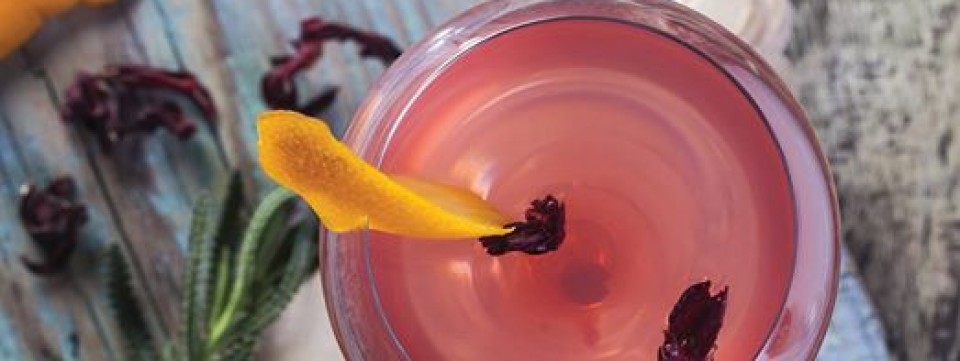 The Renaissance of Gin Dinner at 55&5th The Grill The Renaissance of Gin Dinner at 55&5th The Grill