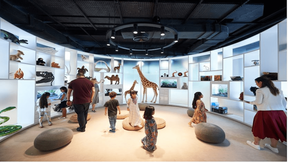 Abu Dhabi Children's Library – Al Hosn Festival 2021