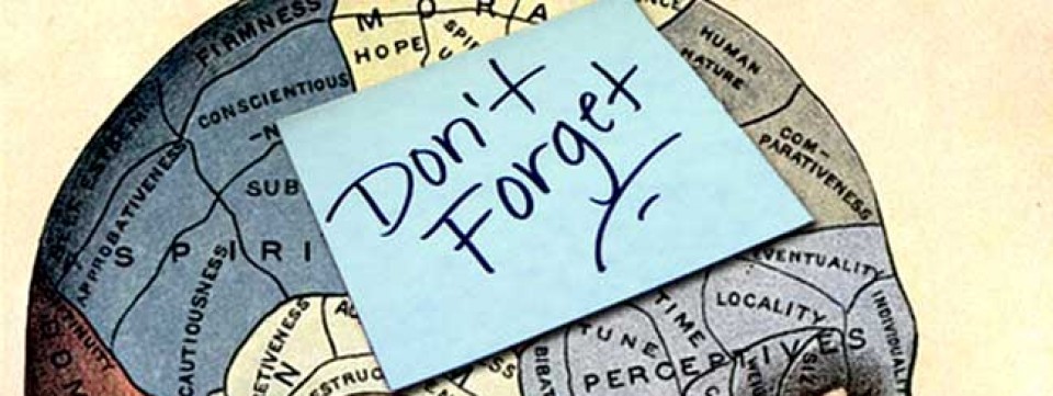 Accelerate Learning by Supercharging your Memory- for HR & L&D