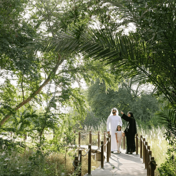 أنشطة في الهواء الطلق