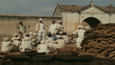Festival du film environnemental Al Sidr 2026 à Abou Dhabi Festival du film environnemental Al Sidr 2026 à Abou Dhabi