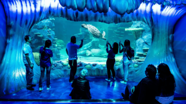 Aquarium de Paris: Entry Ticket