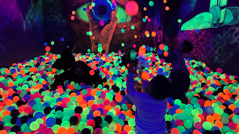 Are you ready for an experience that shakes your Senses! Are you ready for an experience that shakes your Senses!