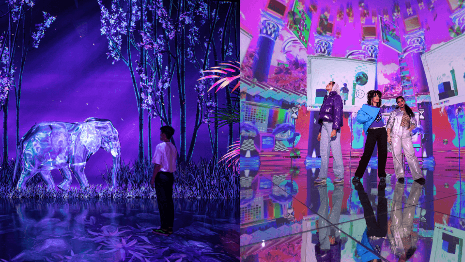 ARTE Museum + House Of Hype – Combo 2025 United Arab Emirates