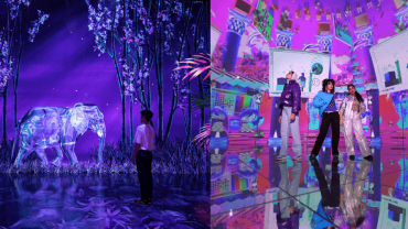 ARTE Museum + House Of Hype - Combo