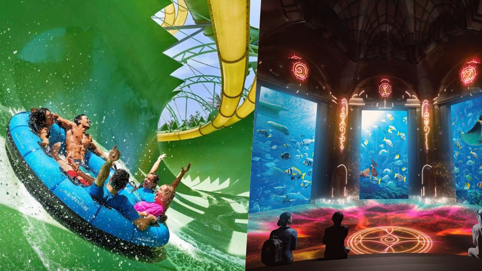 Atlantis Aquaventure Waterpark And Lost World Aquarium
