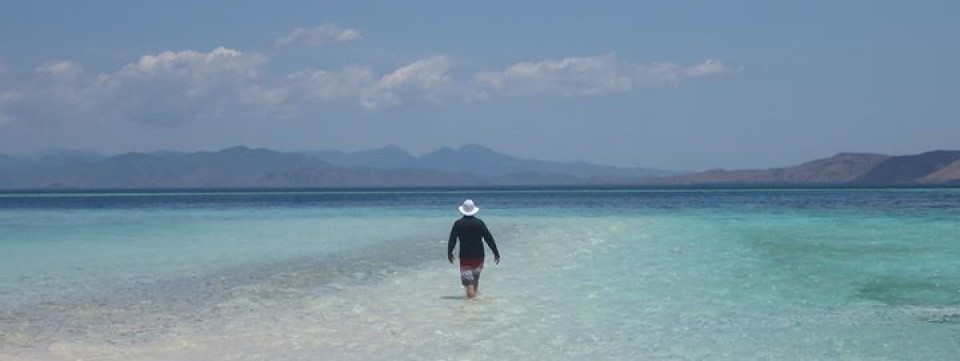 Bali - Komodo Return