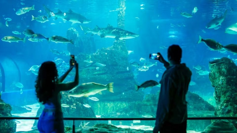 Barcelona Aquarium: Entry Ticket