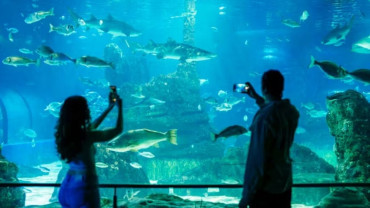 Barcelona Aquarium: Entry Ticket
