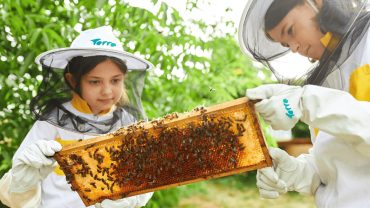 Beekeeping - Kids Edition at Expo City Dubai