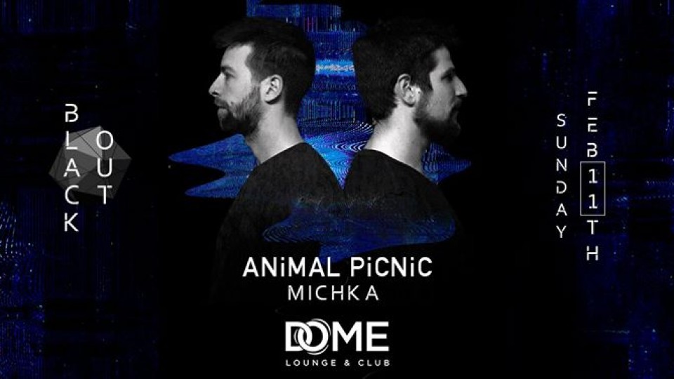 Blackout x Animal Picnic, Sunday Feb 11th Blackout x Animal Picnic, Sunday Feb 11th