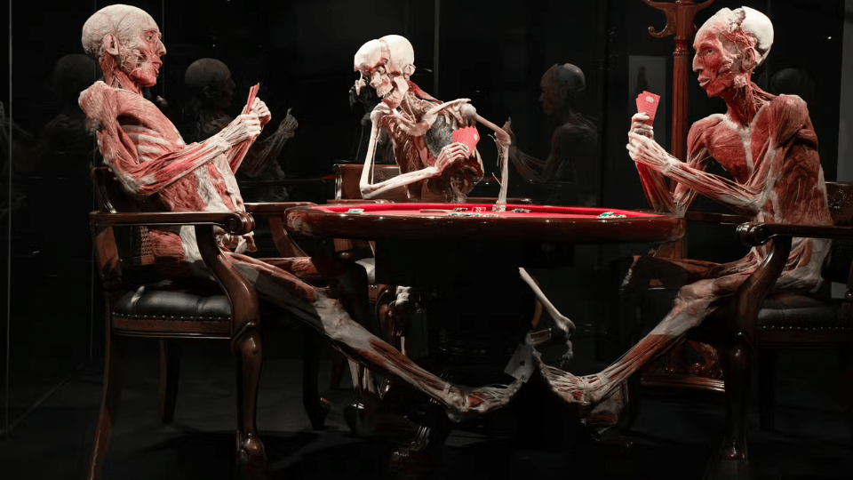 BODY WORLDS - The Happiness Project: Skip The Line Ticket