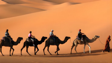 Camel Caravan at Kasbah Le Mirage & Spa