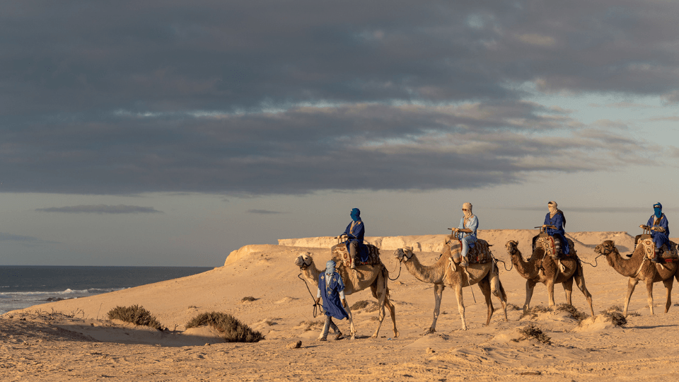 Camel Ride at Le Ranch des Dunes, Dakhla