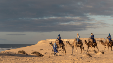 Camel Ride at Le Ranch des Dunes, Dakhla