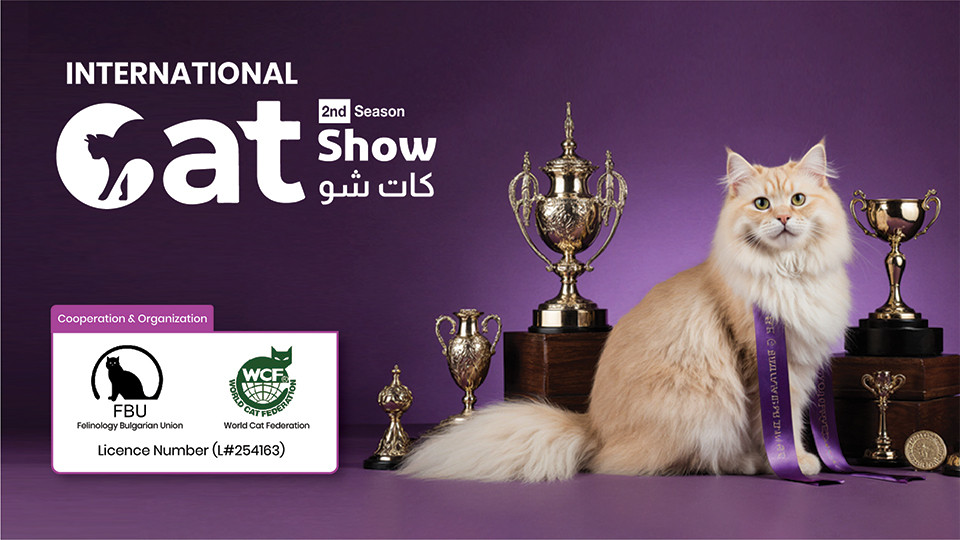 Cat Show in Riyadh