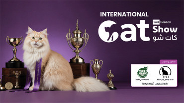 كات شو في الرياض