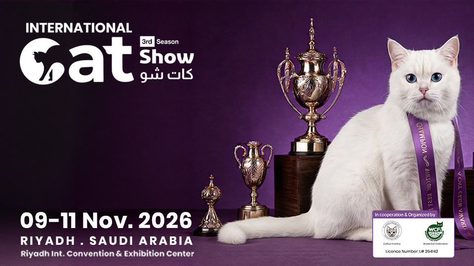 Cat Show in Riyadh Cat Show in Riyadh