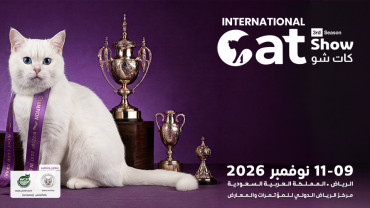 كات شو في الرياض كات شو في الرياض