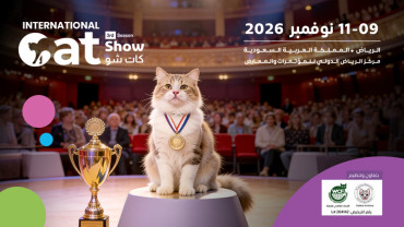 كات شو في الرياض