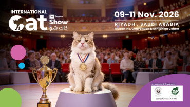 Cat Show in Riyadh
