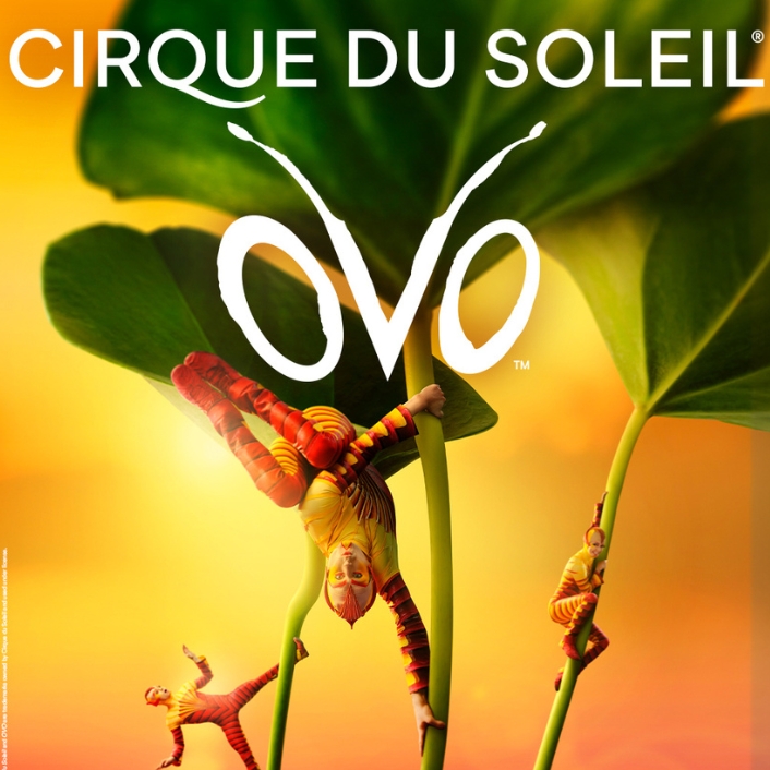 Shows and Theatrical Plays Shows and Theatrical Plays