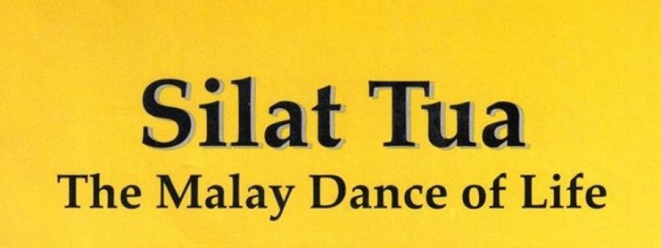 Collider Session (Silat Tua)