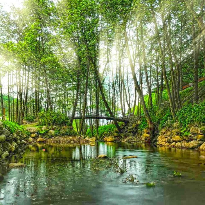 Sightseeing and Tours Sightseeing and Tours