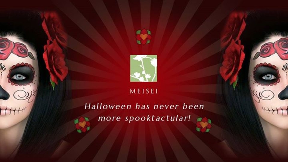 Dia De Los Muertos Halloween Party