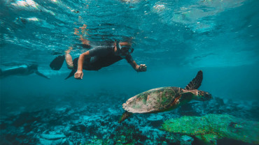 Dive & Snorkel Trips in Fujairah Dive & Snorkel Trips in Fujairah