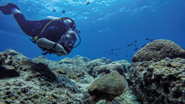 Dive Trips with SeaOman in Al Mouj Dive Trips with SeaOman in Al Mouj