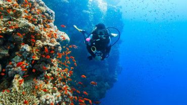 Diving Experience in Khasab Diving Experience in Khasab