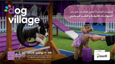 قرية الكلاب 2026 - الزوار في الرياض
