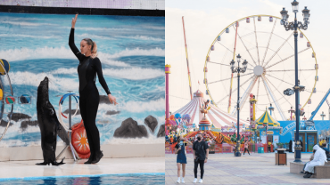 Dolphin & Seal Show + Global Village  - Combo