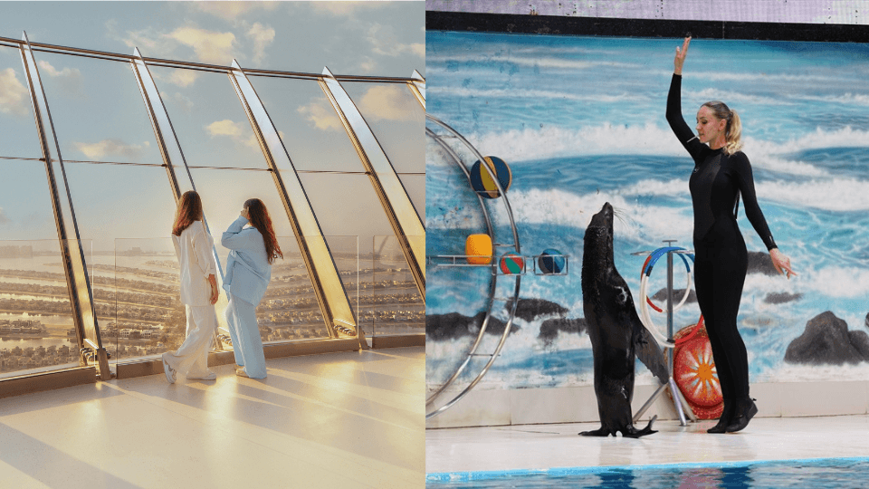 Dolphin & Seal Show + The View at The Palm Non Prime  - Combo