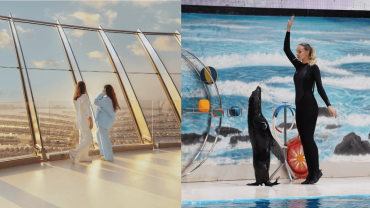 كومبو: عرض الدلافين والفقمة + ذا فيو في ذا بالم في ساعات غير الذروة